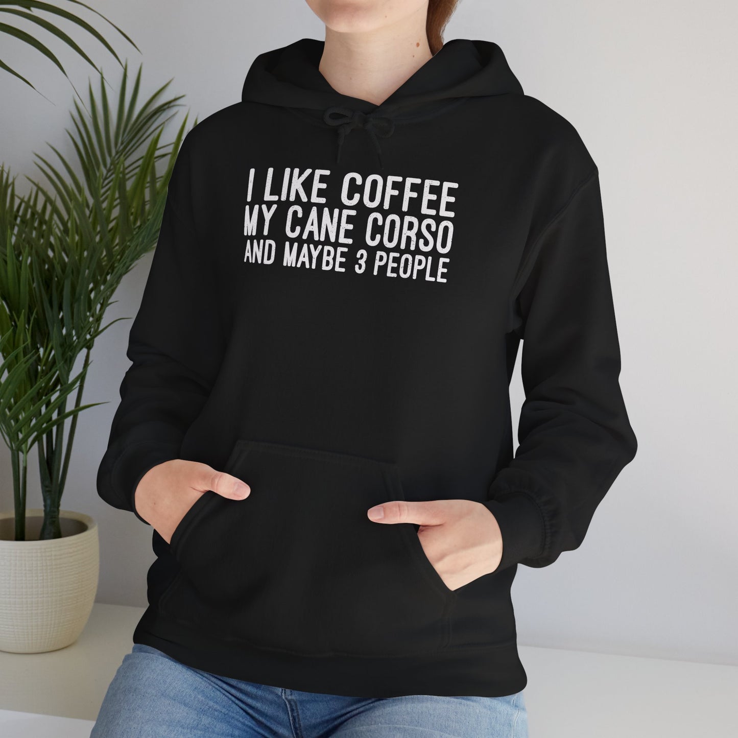 I Like Coffee, My Cane Corso & Maybe 3 People Hoodie