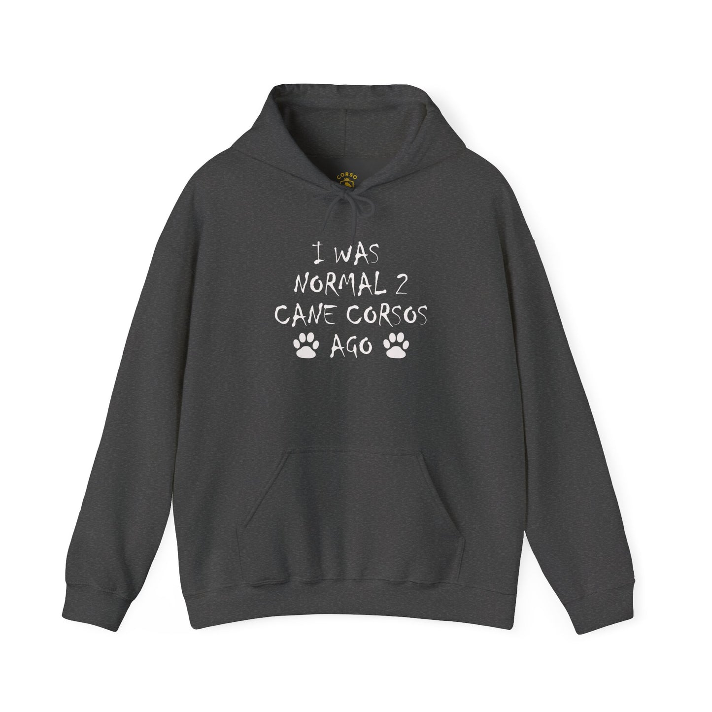 I Was Normal 2 Cane Corsos Ago – Unisex Heavy Blend™ Hooded Sweatshirt
