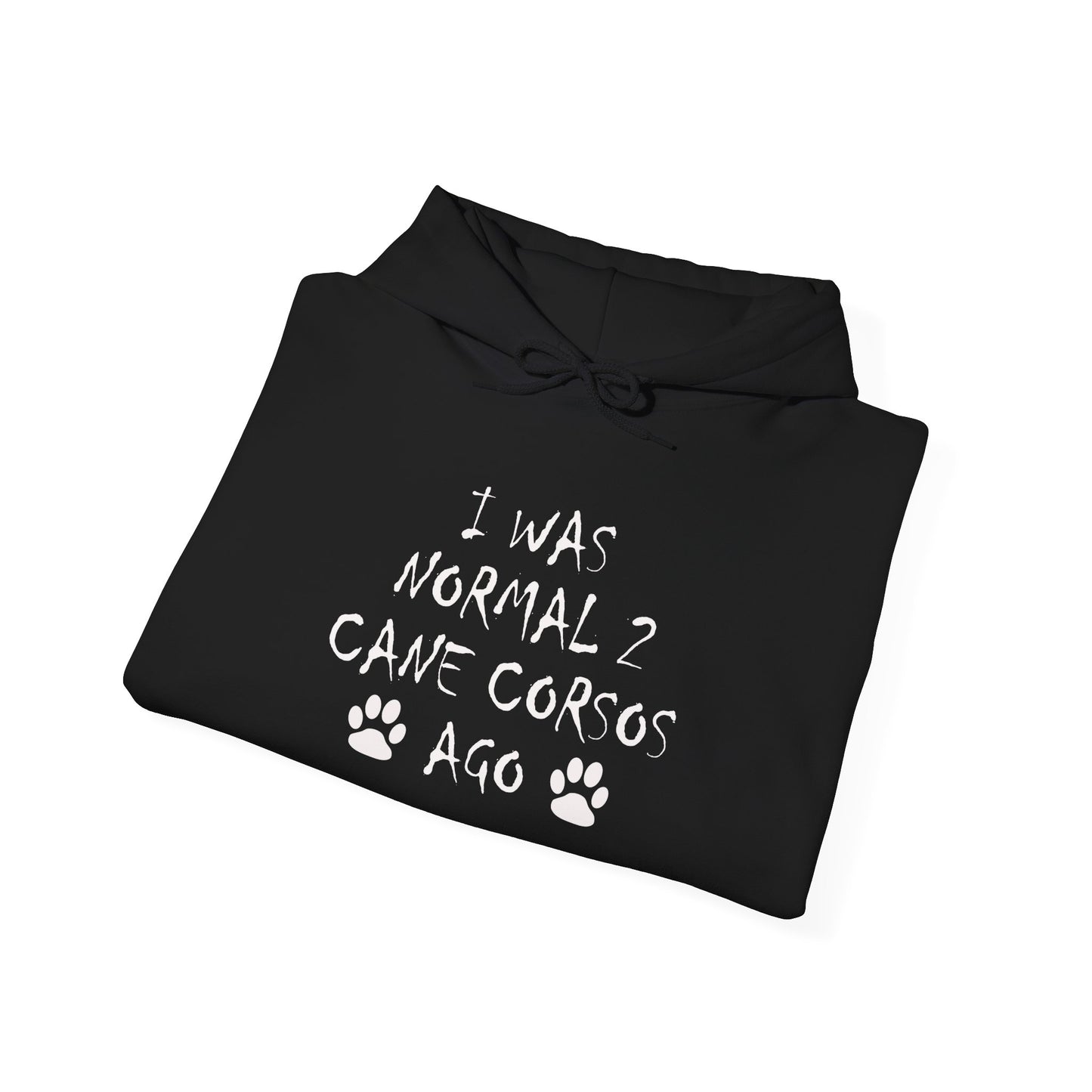 I Was Normal 2 Cane Corsos Ago – Unisex Heavy Blend™ Hooded Sweatshirt