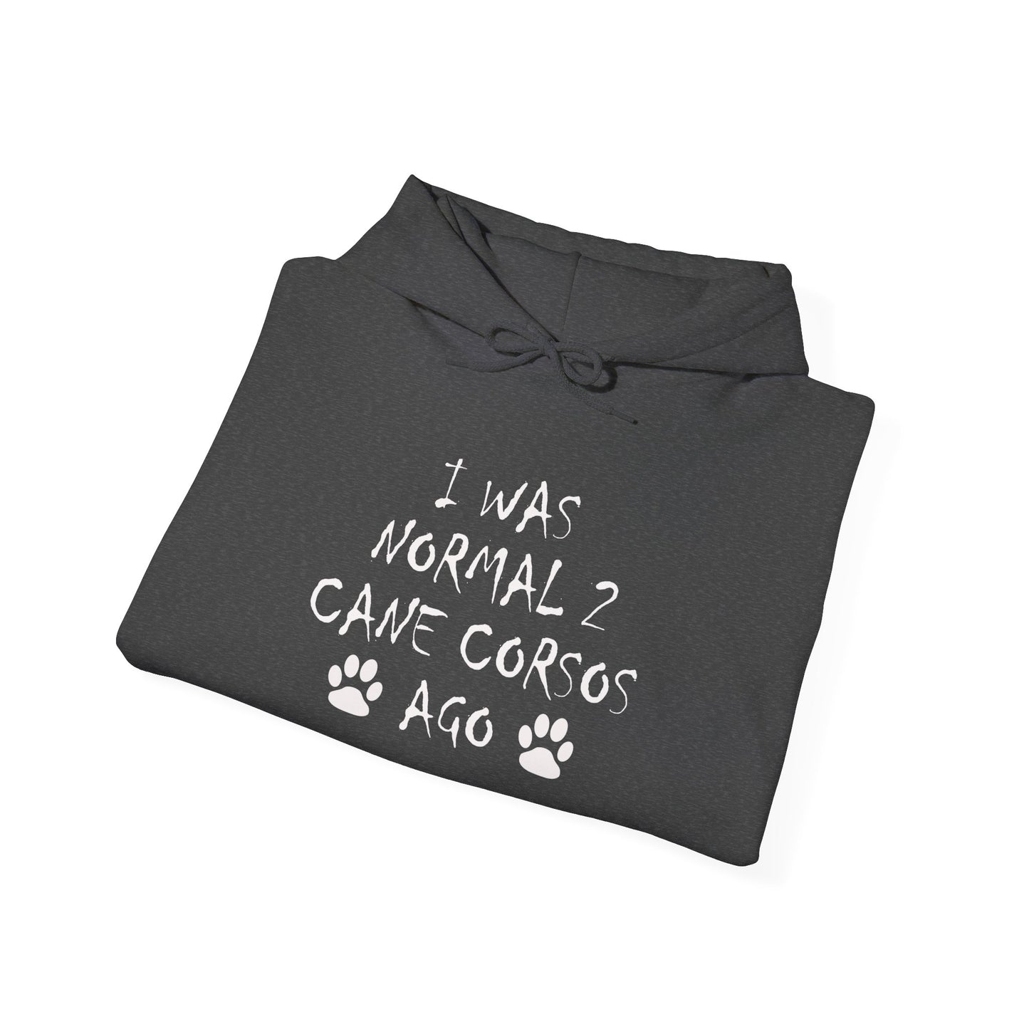 I Was Normal 2 Cane Corsos Ago – Unisex Heavy Blend™ Hooded Sweatshirt