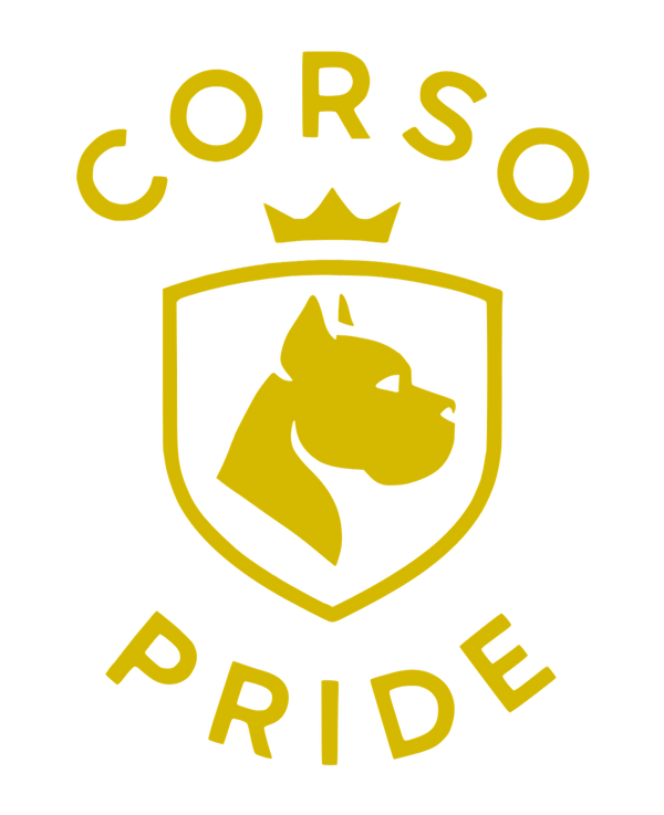 Corso Pride