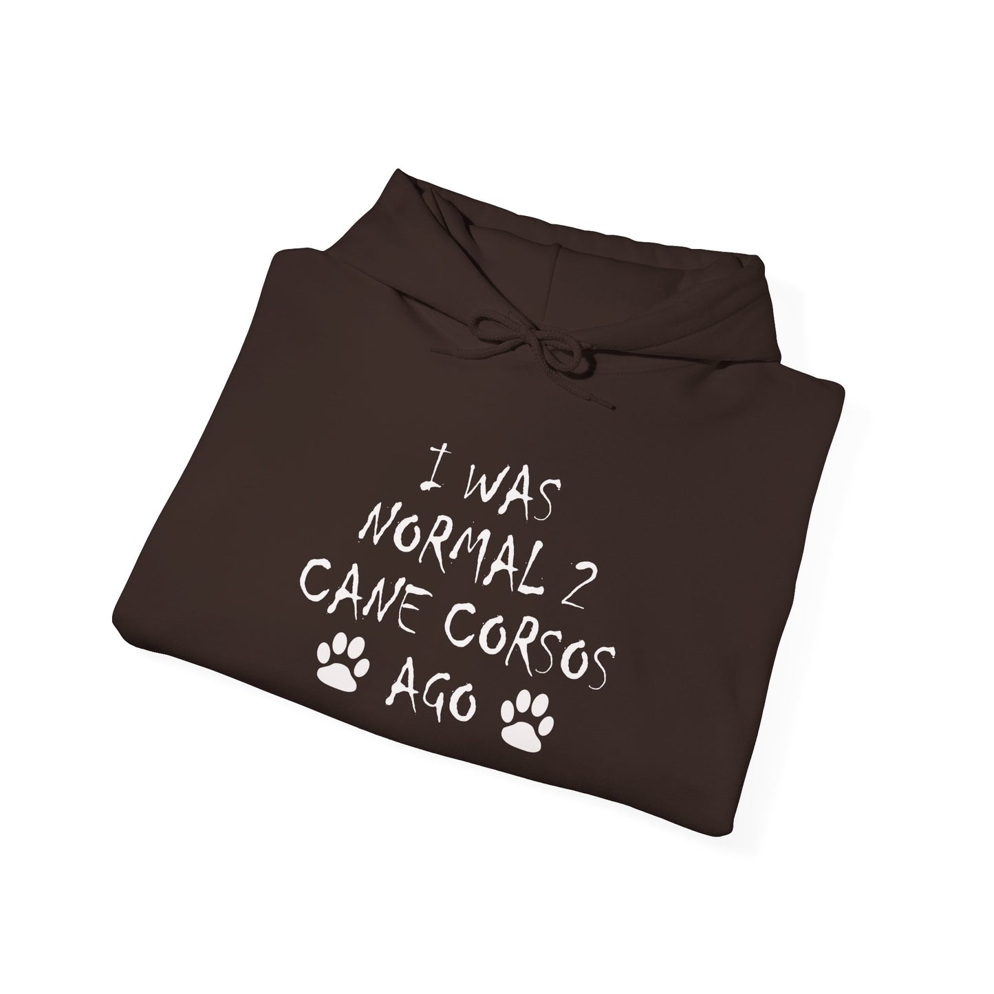 I Was Normal 2 Cane Corsos Ago – Unisex Heavy Blend™ Hooded Sweatshirt