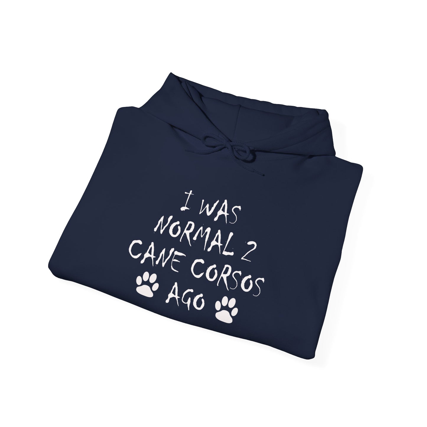 I Was Normal 2 Cane Corsos Ago – Unisex Heavy Blend™ Hooded Sweatshirt